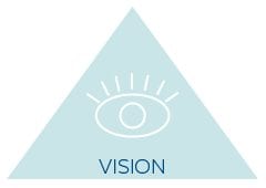 IoT Strategy: Vision